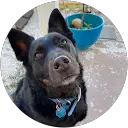 Shawn Beckwith profile picture