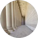 Daphne Zenk profile picture