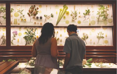 a woman on the left man on right both in silhouette in front a white framed exhibit of flowers, grasses and plants