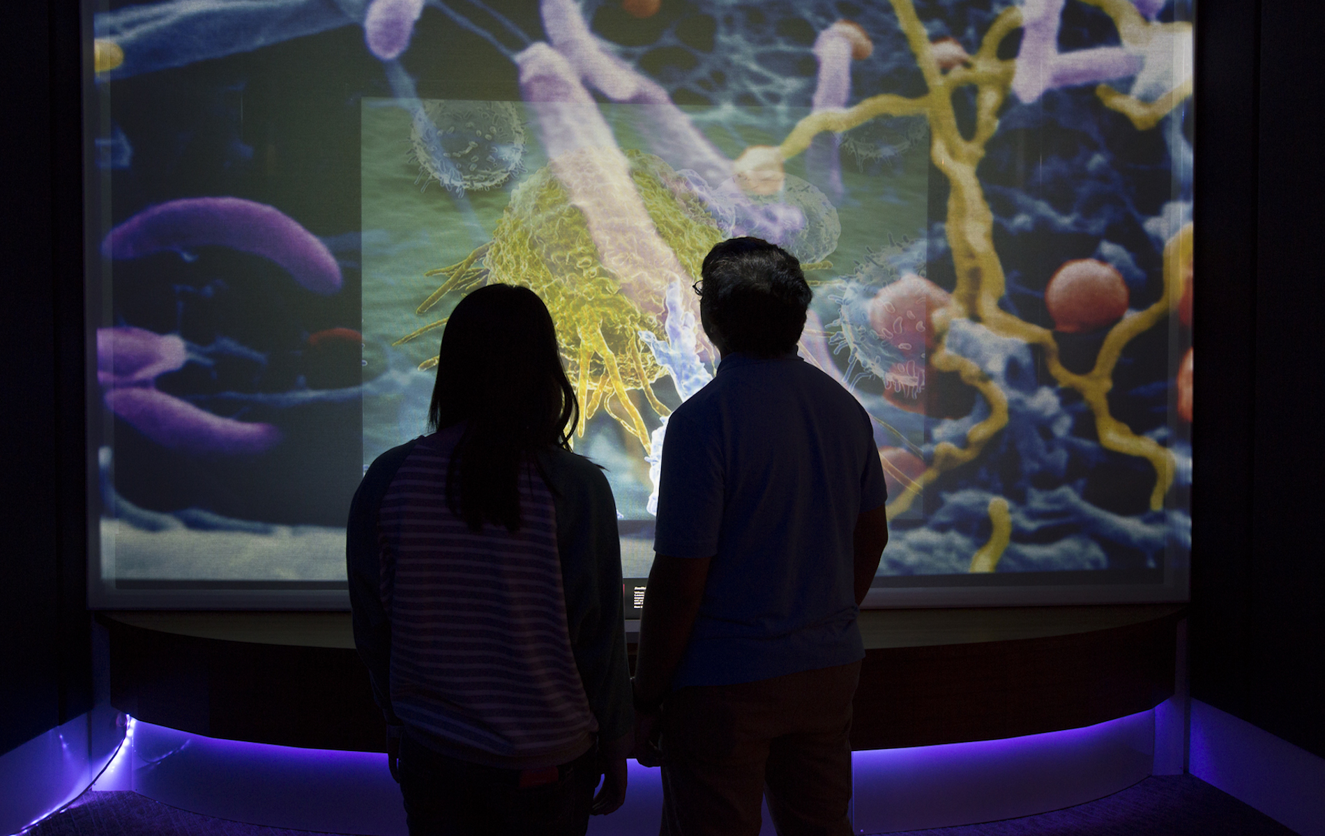 shadow silhouette of a boy and girl in front of a colorful picture of science with yellow and purple abstract pattern