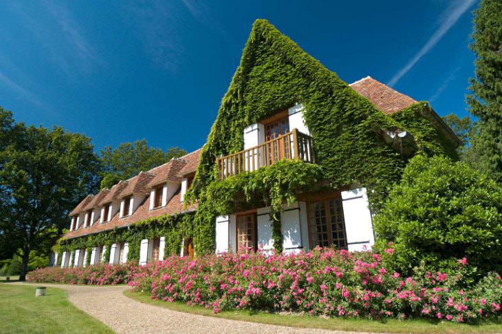 Chateau styled hotel with tiled roof and white shutters covered in vines, surrounded by pink flowering shrubs and blue skies