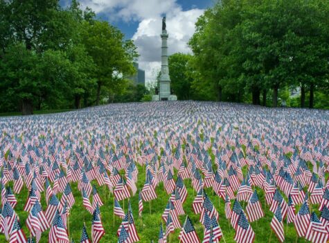 a sea of miniature American flags on a green grassy lawn of a park with blue sky and a distant statue in the background