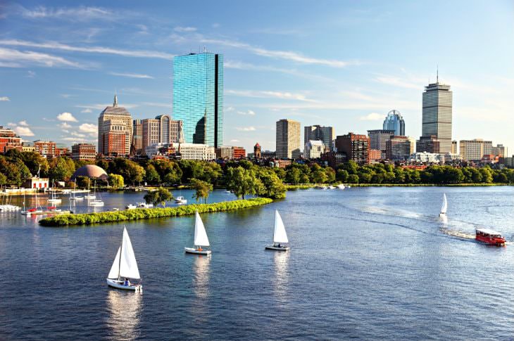 White sailboats in a harbor with green trees and multi-height buildings in the background amidst blue skies