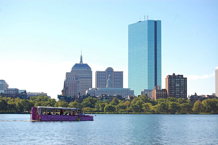 View of pink paddle boat from the water with trees and city buildings in the background